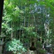 ヒメ日記 2025/04/14 08:35 投稿 まりん 逢って30秒で即尺