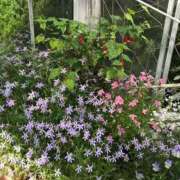 ヒメ日記 2025/04/15 13:15 投稿 まりん 逢って30秒で即尺