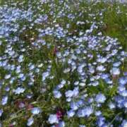 ヒメ日記 2025/04/28 19:39 投稿 まりん 逢って30秒で即尺