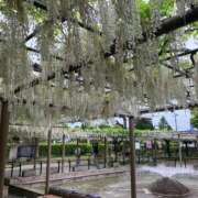 ヒメ日記 2025/05/10 16:38 投稿 まりん 逢って30秒で即尺