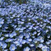 ヒメ日記 2025/05/18 18:45 投稿 まりん 逢って30秒で即尺