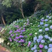 ヒメ日記 2025/06/14 17:36 投稿 まりん 逢って30秒で即尺