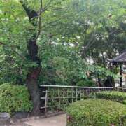 ヒメ日記 2025/08/05 11:52 投稿 まりん 逢って30秒で即尺