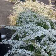 ヒメ日記 2025/08/18 08:43 投稿 まりん 逢って30秒で即尺