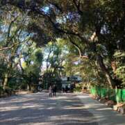 ヒメ日記 2025/09/06 20:45 投稿 まりん 逢って30秒で即尺