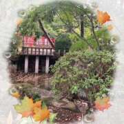 ヒメ日記 2025/11/25 12:57 投稿 まりん 逢って30秒で即尺