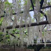 ヒメ日記 2026/03/07 13:20 投稿 まりん 逢って30秒で即尺