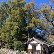 ヒメ日記 2026/03/12 17:09 投稿 まりん 逢って30秒で即尺