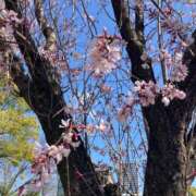 ヒメ日記 2026/03/20 11:19 投稿 まりん 逢って30秒で即尺