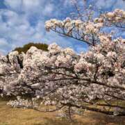 ヒメ日記 2026/03/24 08:20 投稿 まりん 逢って30秒で即尺