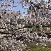 ヒメ日記 2026/03/29 20:49 投稿 まりん 逢って30秒で即尺