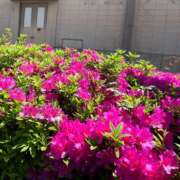 ヒメ日記 2026/04/20 22:35 投稿 まりん 逢って30秒で即尺