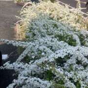 ヒメ日記 2026/04/21 09:27 投稿 まりん 逢って30秒で即尺