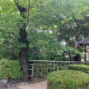 ヒメ日記 2026/07/15 14:49 投稿 まりん 逢って30秒で即尺