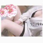 ヒメ日記 2025/04/24 00:10 投稿 金城　ツバキ クラブ　ブレンダ茨木・枚方店