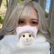 ヒメ日記 2025/02/25 18:50 投稿 るな 横浜Cute