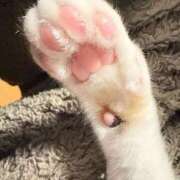 ヒメ日記 2025/07/09 15:50 投稿 るな 横浜Cute