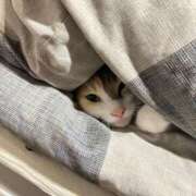 ヒメ日記 2025/11/27 00:00 投稿 るな 横浜Cute