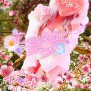 ヒメ日記 2025/03/20 08:56 投稿 りりあ ぼくらのデリヘルランドin久喜店