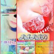 ヒメ日記 2025/04/10 11:16 投稿 りりあ ぼくらのデリヘルランドin久喜店