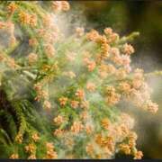 ヒメ日記 2025/03/13 17:51 投稿 みずき 夜這専門発情する奥様たち 谷九店