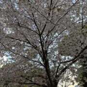 みずき 今週⭐︎ 夜這専門発情する奥様たち 谷九店