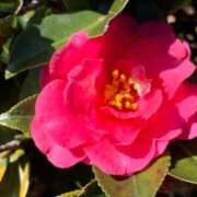 ヒメ日記 2025/01/04 09:51 投稿 あけみ 熟女総本店