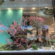 ヒメ日記 2025/01/06 09:57 投稿 あけみ 熟女総本店