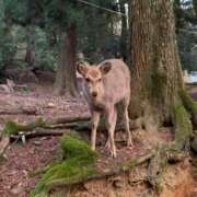 ヒメ日記 2025/03/14 09:47 投稿 あけみ 熟女総本店