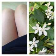 ヒメ日記 2025/05/15 10:05 投稿 あけみ 熟女総本店