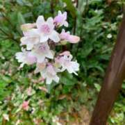 ヒメ日記 2025/05/20 10:05 投稿 あけみ 熟女総本店