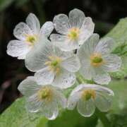 ヒメ日記 2025/06/12 07:24 投稿 あけみ 熟女総本店