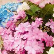 ヒメ日記 2025/07/01 09:55 投稿 あけみ 熟女総本店