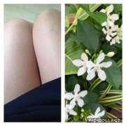 ヒメ日記 2025/09/24 10:38 投稿 あけみ 熟女総本店