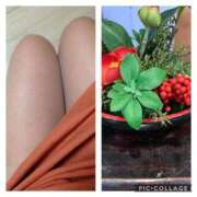 ヒメ日記 2025/11/27 10:11 投稿 あけみ 熟女総本店