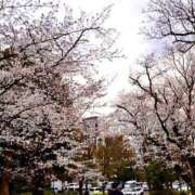 ヒメ日記 2025/04/01 09:33 投稿 雨宮レナ セレブショップ新宿（東京ハレ系）