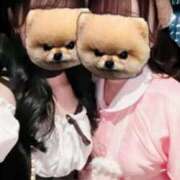 ヒメ日記 2025/11/03 14:56 投稿 みほ 横浜Cute