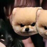 ヒメ日記 2025/11/18 20:15 投稿 みほ 横浜Cute