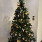 ヒメ日記 2024/12/25 07:30 投稿 ちか ルネッサンス