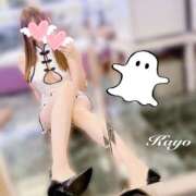 ヒメ日記 2025/02/13 14:24 投稿 Kayo THE PREMIUM （プレミアム）