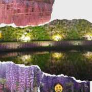 ヒメ日記 2025/04/27 10:14 投稿 和歌子 池袋発情おかあちゃん