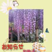 ヒメ日記 2025/05/10 13:38 投稿 和歌子 池袋発情おかあちゃん