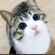 ヒメ日記 2025/04/15 19:21 投稿 はるみ 実録！おとなのわいせつ倶楽部