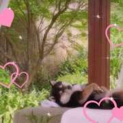 ヒメ日記 2025/05/07 11:31 投稿 はるみ 実録！おとなのわいせつ倶楽部