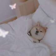 ヒメ日記 2025/05/07 23:51 投稿 はるみ 実録！おとなのわいせつ倶楽部