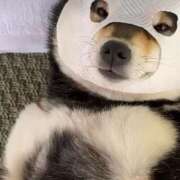 ヒメ日記 2025/05/09 14:02 投稿 はるみ 実録！おとなのわいせつ倶楽部