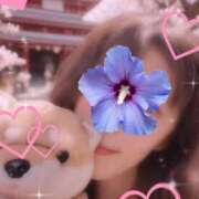 ヒメ日記 2025/05/14 10:21 投稿 はるみ 実録！おとなのわいせつ倶楽部