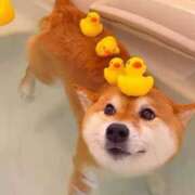 ヒメ日記 2025/05/27 22:45 投稿 はるみ 実録！おとなのわいせつ倶楽部