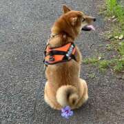 ヒメ日記 2025/06/04 10:51 投稿 はるみ 実録！おとなのわいせつ倶楽部