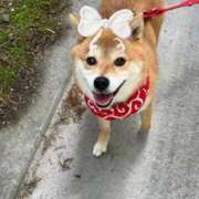 ヒメ日記 2025/09/20 09:21 投稿 はるみ 実録！おとなのわいせつ倶楽部